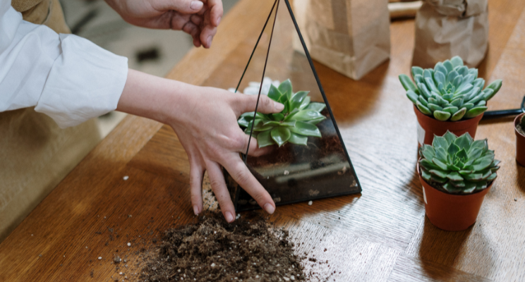 Dicas práticas para criar um quarto relaxante Dicas práticas para criar um quarto relaxante