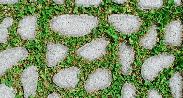 10 Formas Eficientes de Limpar Pedras de Jardim