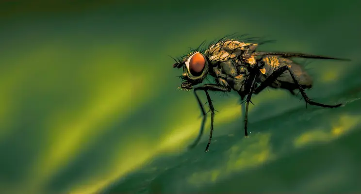 Como Desentupir Ralo do Banheiro: Dicas Práticas