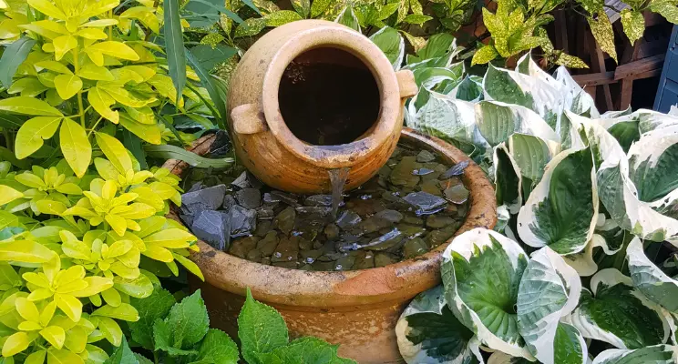 10 Formas Eficientes de Limpar Pedras de Jardim