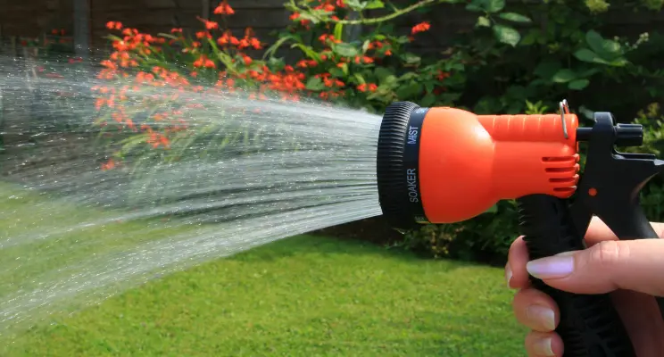 10 Formas Eficientes de Limpar Pedras de Jardim